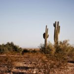 Bebe agua ahora que no eres un cactus