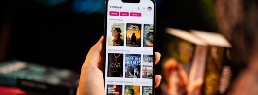 App Novela das Frutas: Erros e Como Evitar