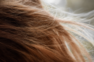 brown hair on white textile — Foto por Taylor Smith na Unsplash