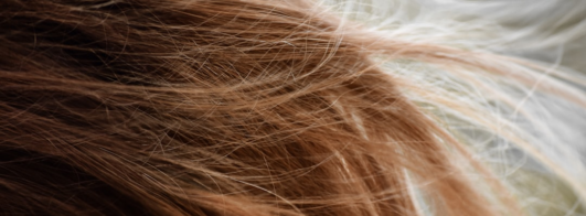 IA Descobre Qual Corte de Cabelo Combina Mais Com Você