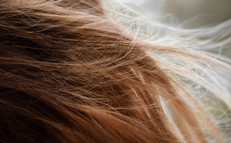 IA Descobre Qual Corte de Cabelo Combina Mais Com Você