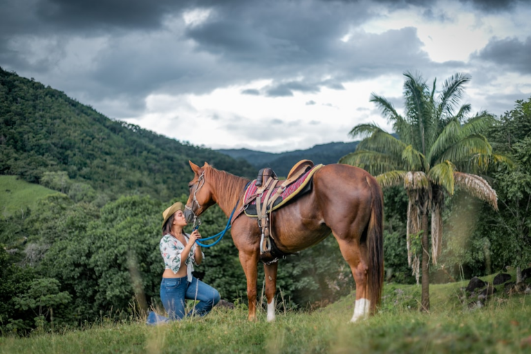 a person sitting on a horse — Foto por Elvis A. Mora na Unsplash