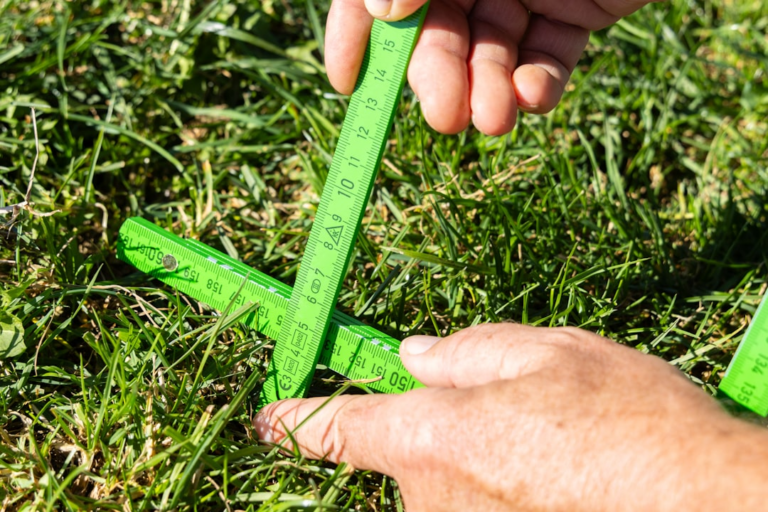 A person is holding a pair of scissors in the grass — Foto por Being Organic in EU na Unsplash