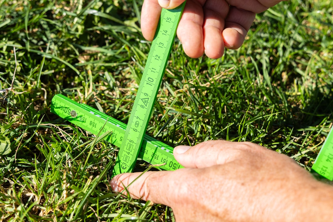 A person is holding a pair of scissors in the grass — Foto por Being Organic in EU na Unsplash