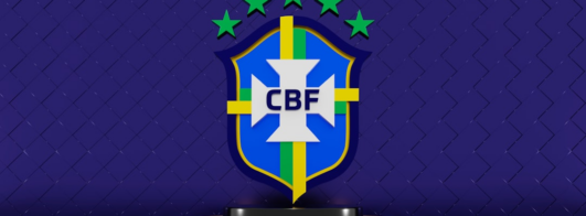 Crie sua Figurinha da Copa do Mundo