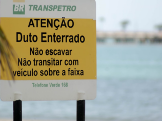 Transforme Sua Foto em Uma Figurinha Oficial da Copa Com Essa IA