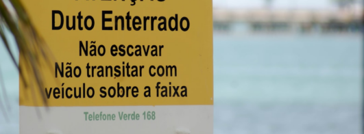 Transforme Sua Foto em Uma Figurinha Oficial da Copa Com Essa IA