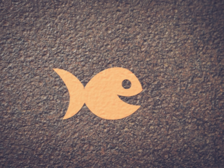 Aplicativo para Localizar Peixes: Guia Prático