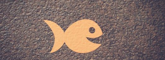 Aplicativo para Localizar Peixes: Guia Prático