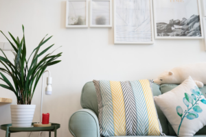 two assorted-color throw pillow on sofa beside potted plant — Foto por Tony Lee na Unsplash