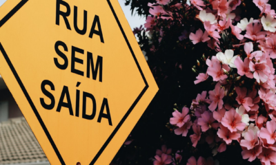 Quem Viu Seu Perfil: Erros e Como Evitar